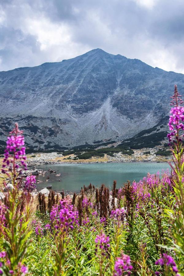 Borovets Gardens B30 Morunov Apart 외부 사진