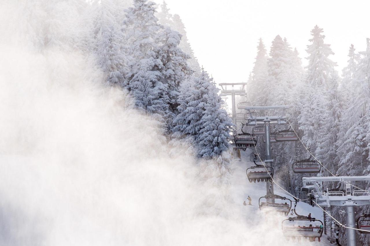 Borovets Gardens B30 Morunov Apart 외부 사진